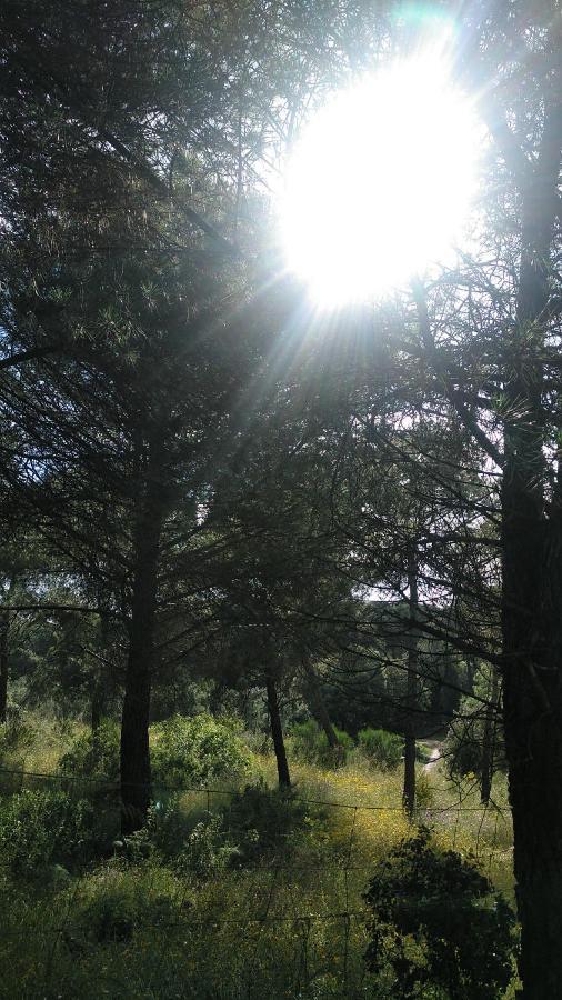 La Isabelita Villa Andújar Dış mekan fotoğraf